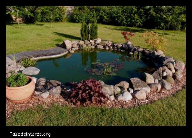 Watergrass The Best Way to Beautify Your Pond